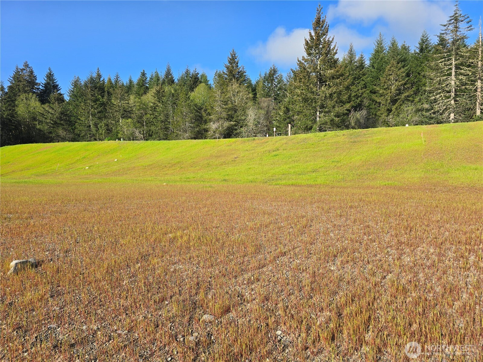 51 E Virgil Drive W, Allyn, WA 98524
