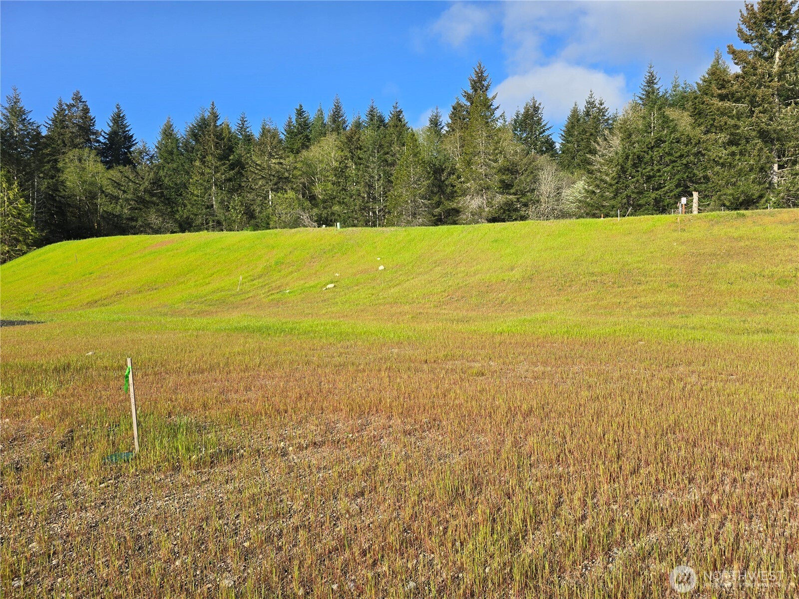 41 E Virgil Drive W, Allyn, WA 98524