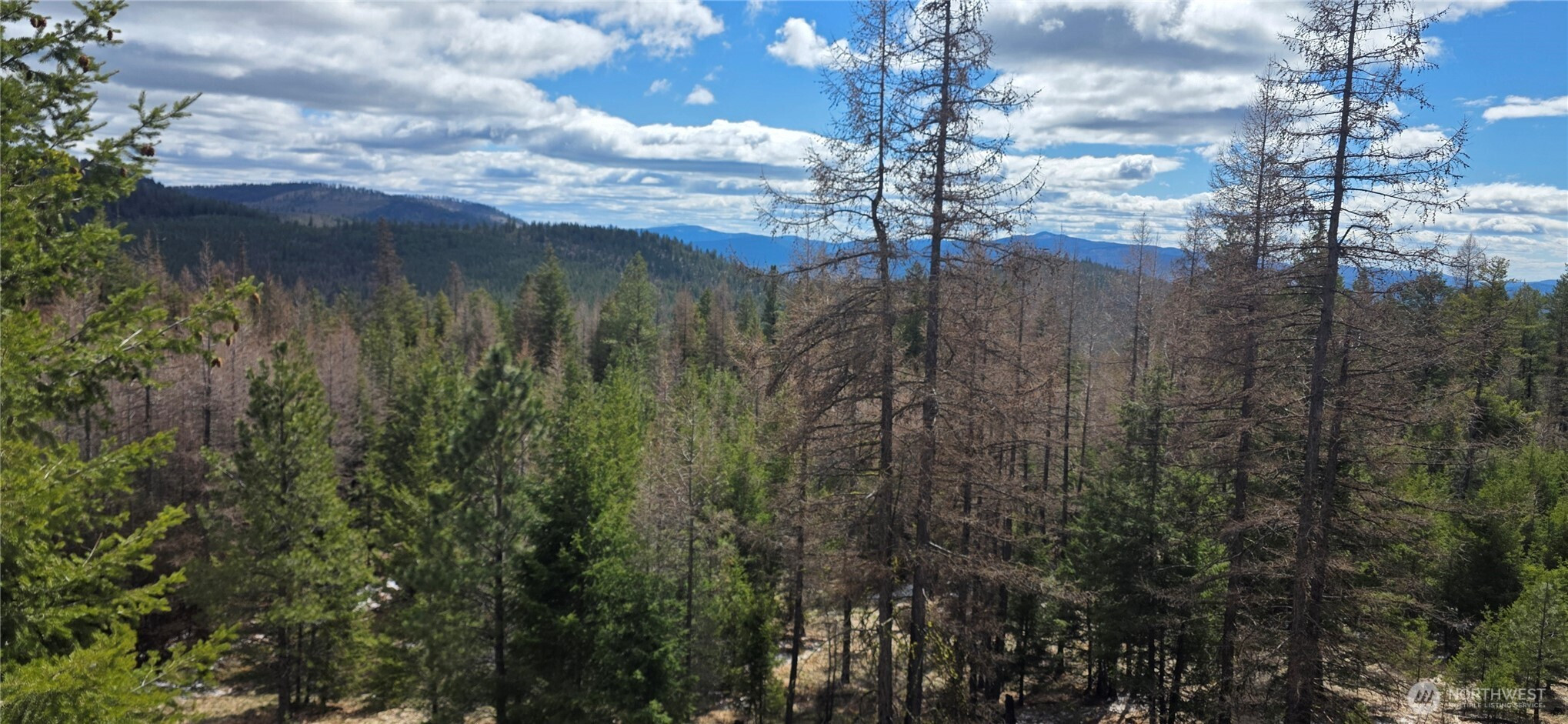 1111 TBD Bandtman Rd, Tonasket, WA 98844