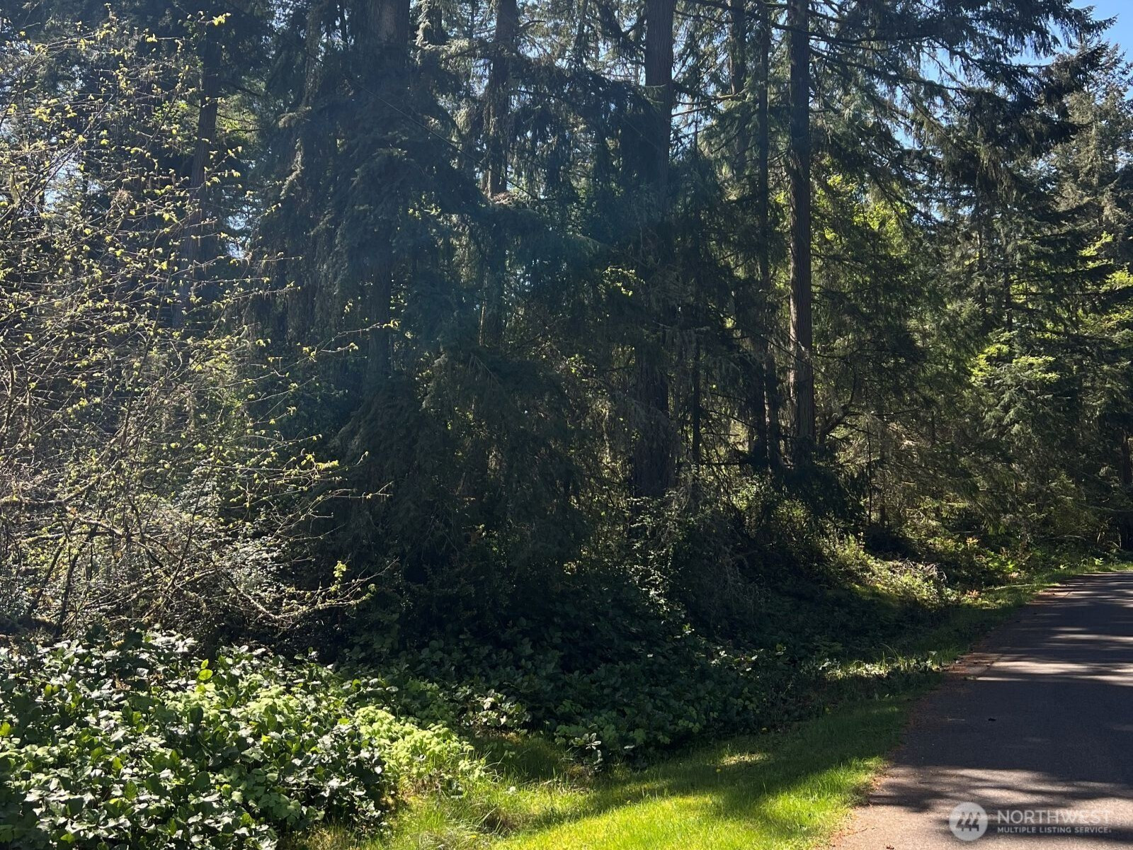 10404 Suncrest Drive, Anderson Island, WA 98303