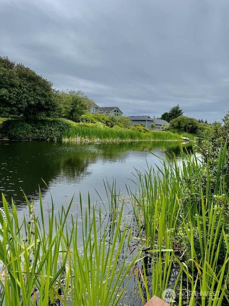 311 Cockle Street SW, Ocean Shores, WA 98569