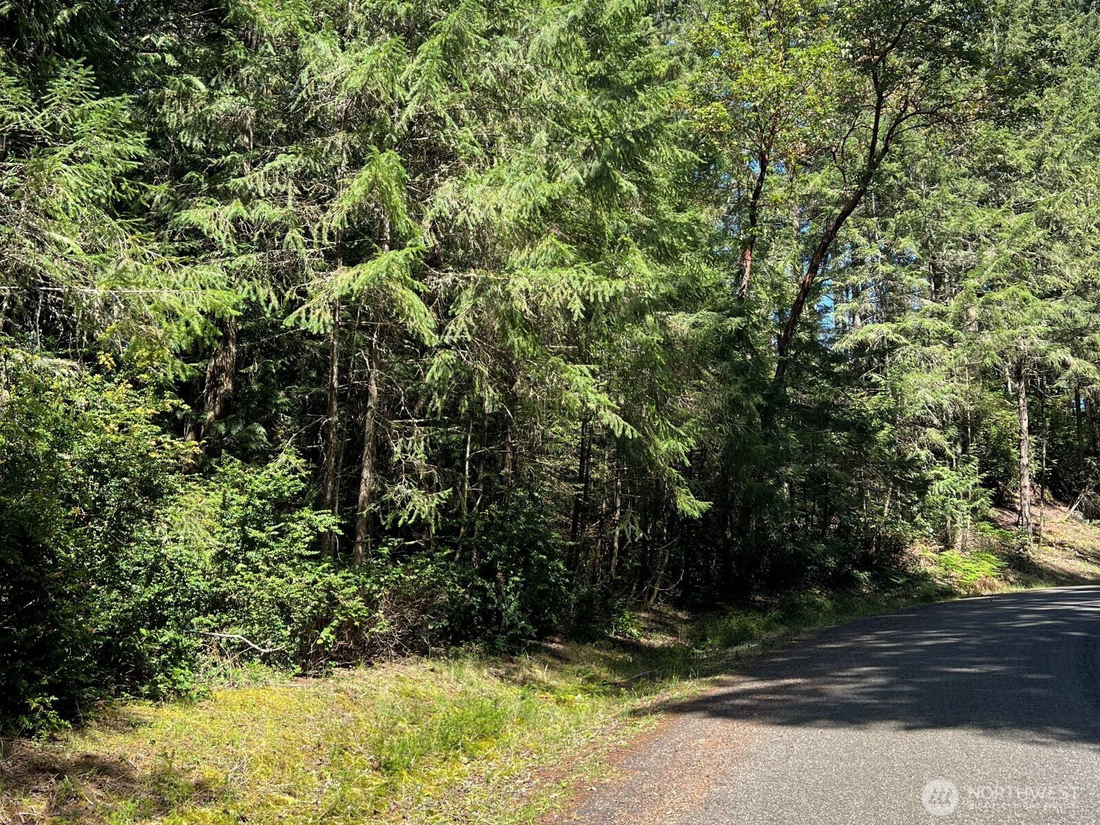 10919 Suncrest Drive, Anderson Island, WA 98303