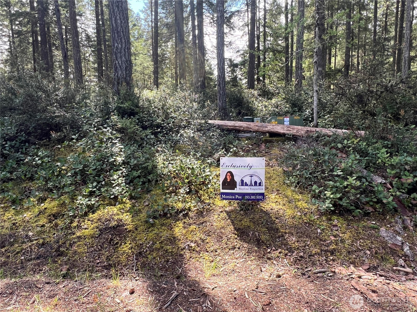 380 E Laurel Park, Union, WA 98592