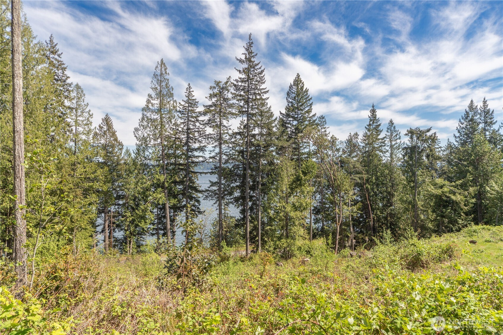 155 Tog Road, Brinnon, WA 98320