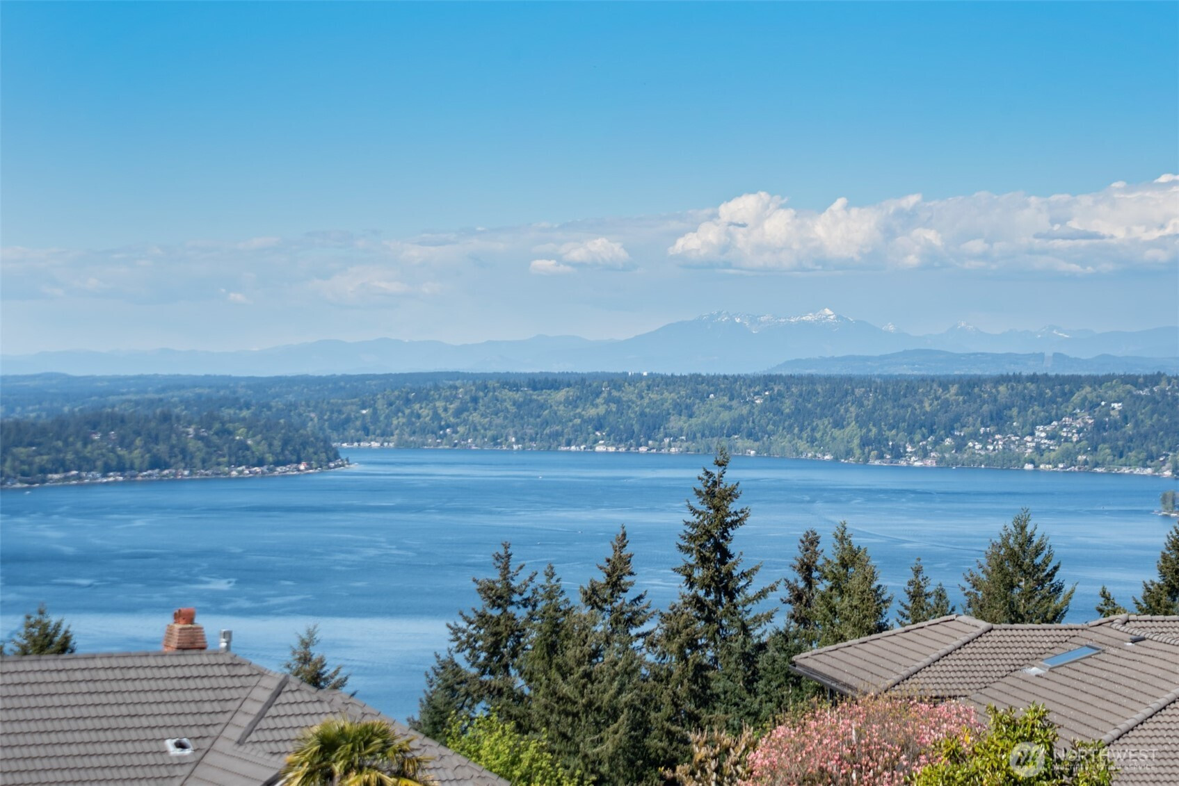 4411 170th Avenue SE, Bellevue, WA 98006