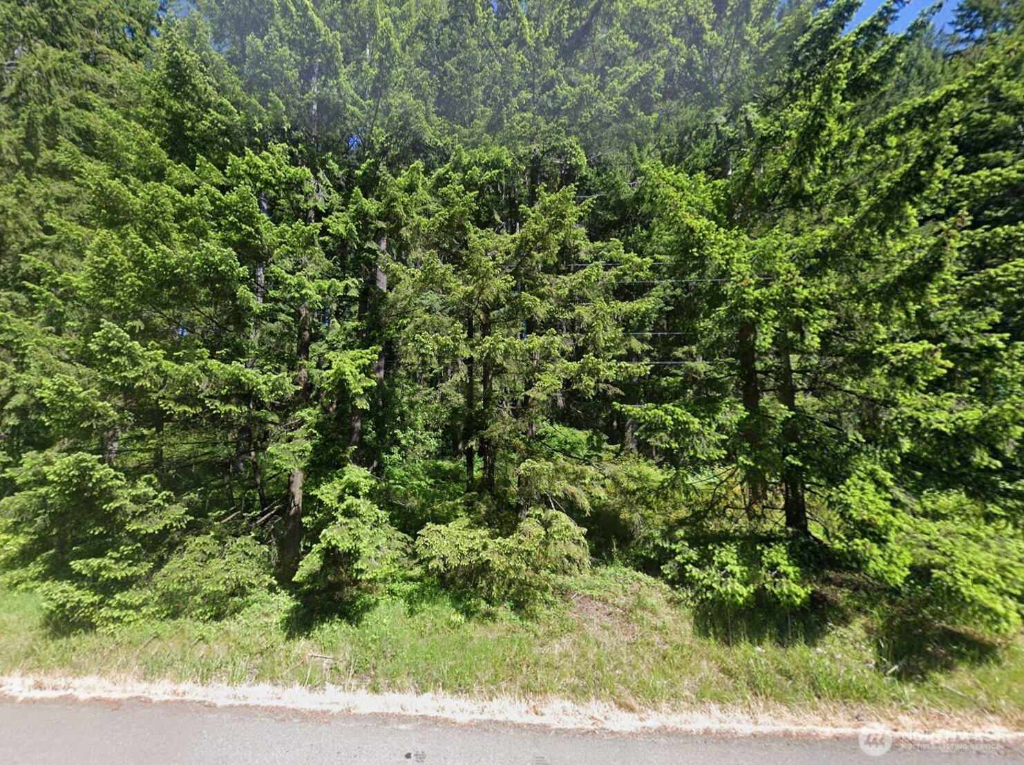 1125 Turkey Road NW, Olympia, WA 98502