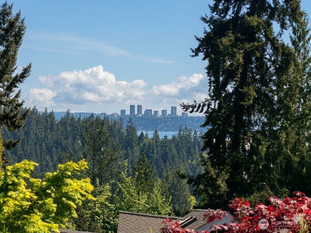10023 NE 28th Place, Bellevue, WA 98004