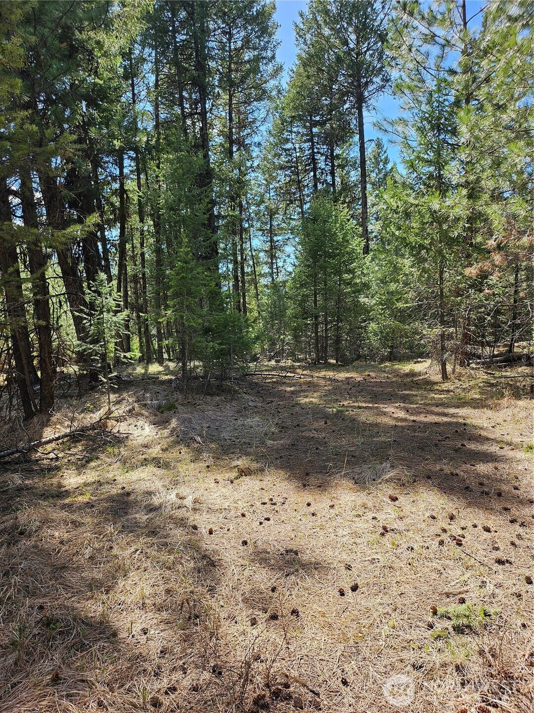 168 Prior Loop Road, Oroville, WA 98844