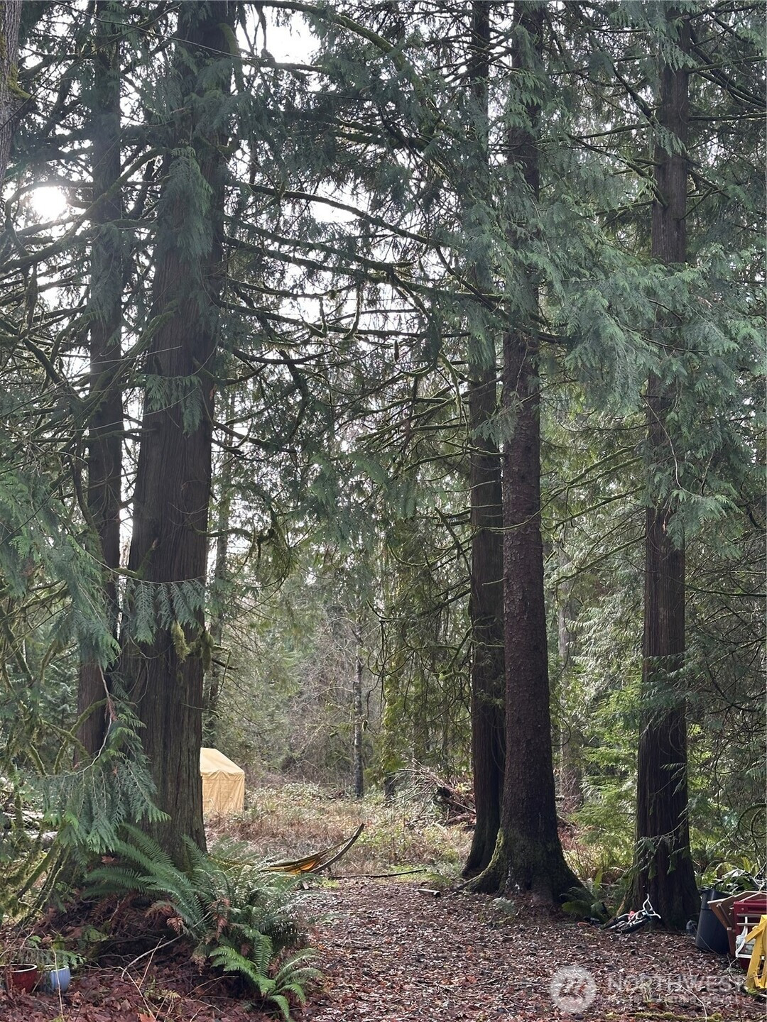 13420 74th Street NE, Lake Stevens, WA 98258