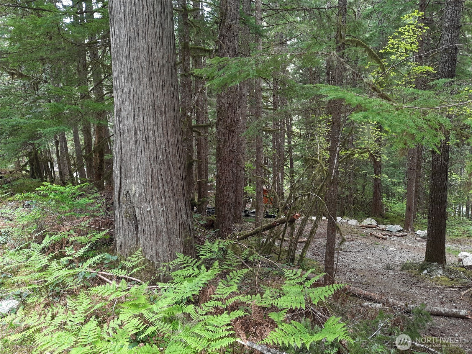 0 Cascade River Road, Marblemount, WA 98263