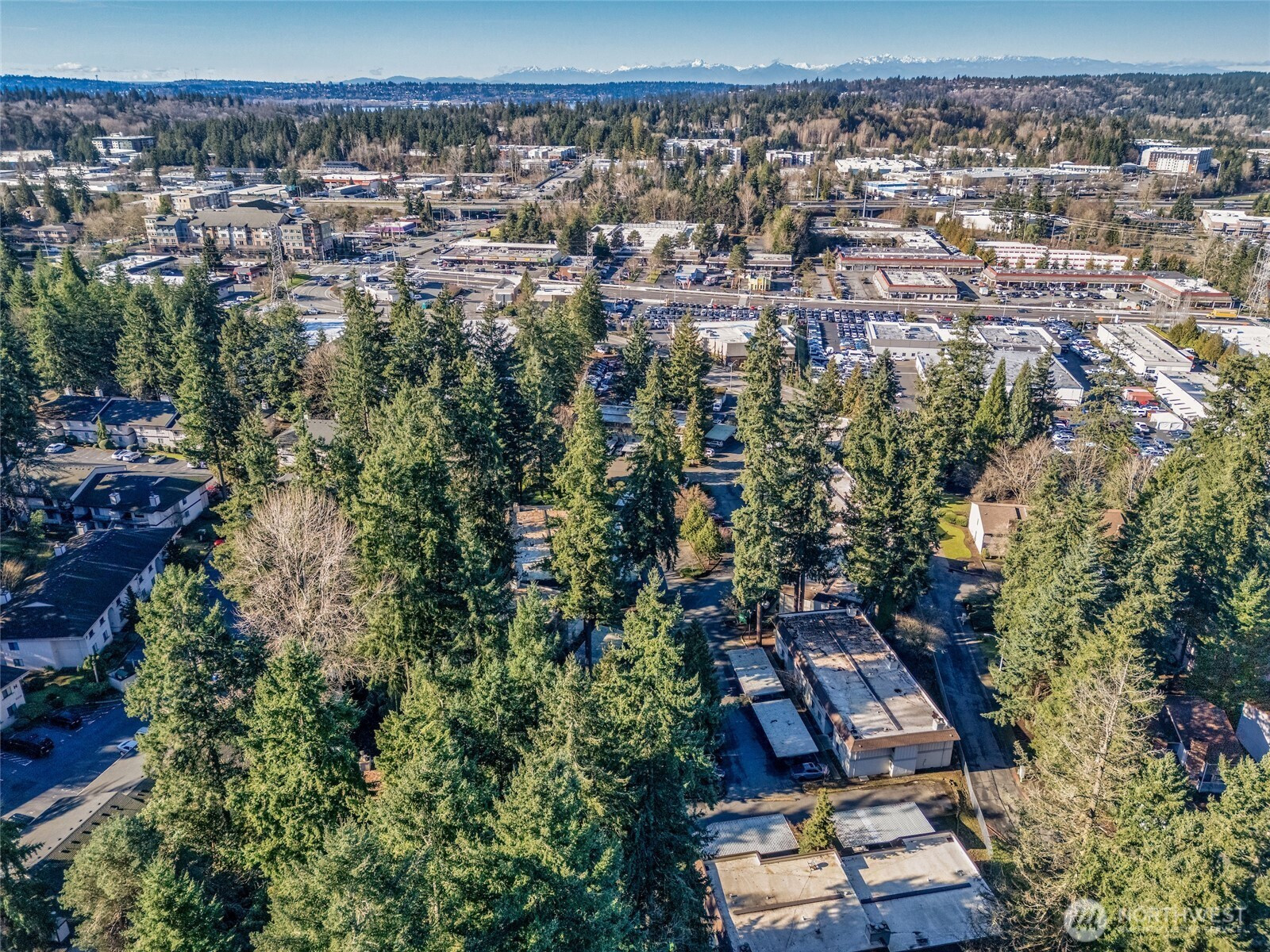 12528 NE 117th Place, Kirkland, WA 98034