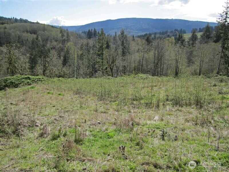 470 Italian Creek Road, Kalama, WA 98625