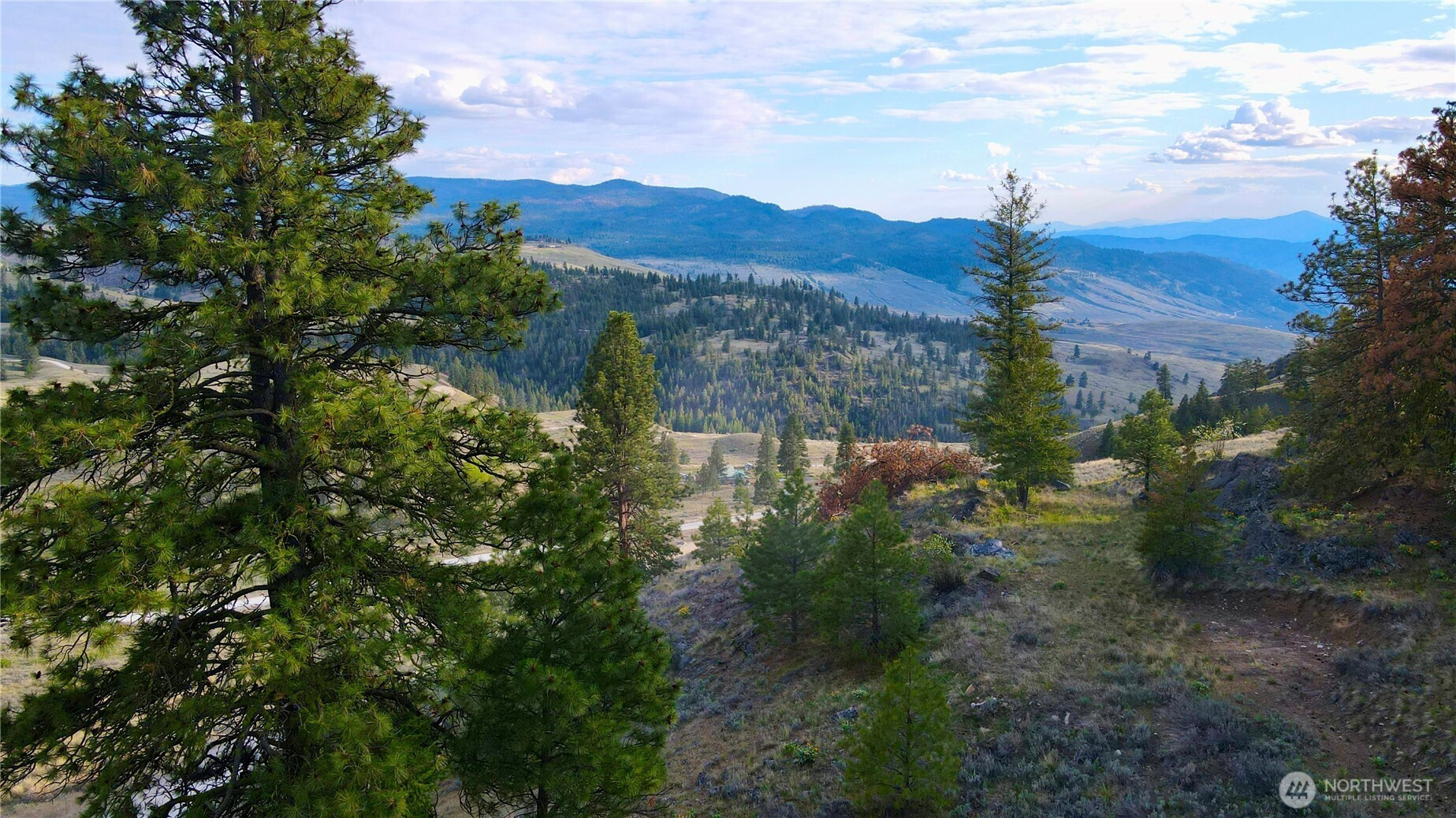 0 TBD Blue Grouse Road, Oroville, WA 98844