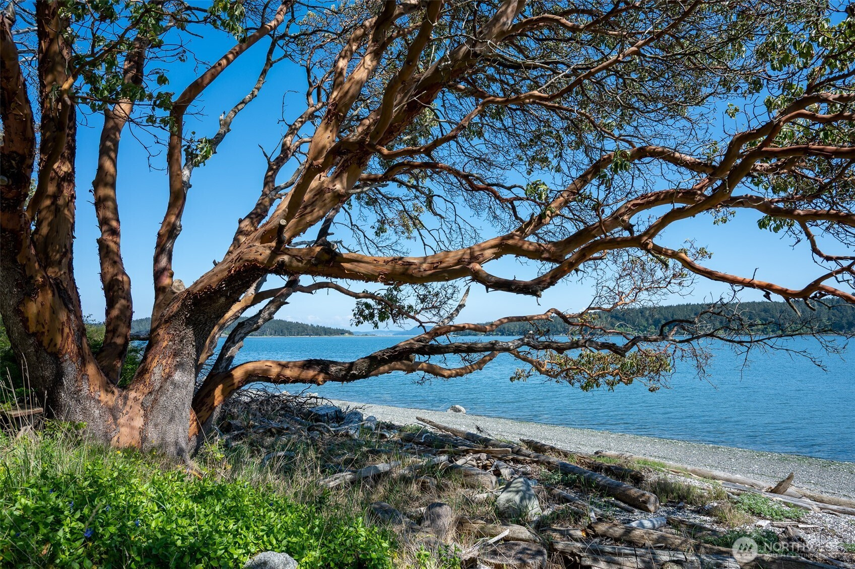 1484 Islandale Road, Lopez Island, WA 98261