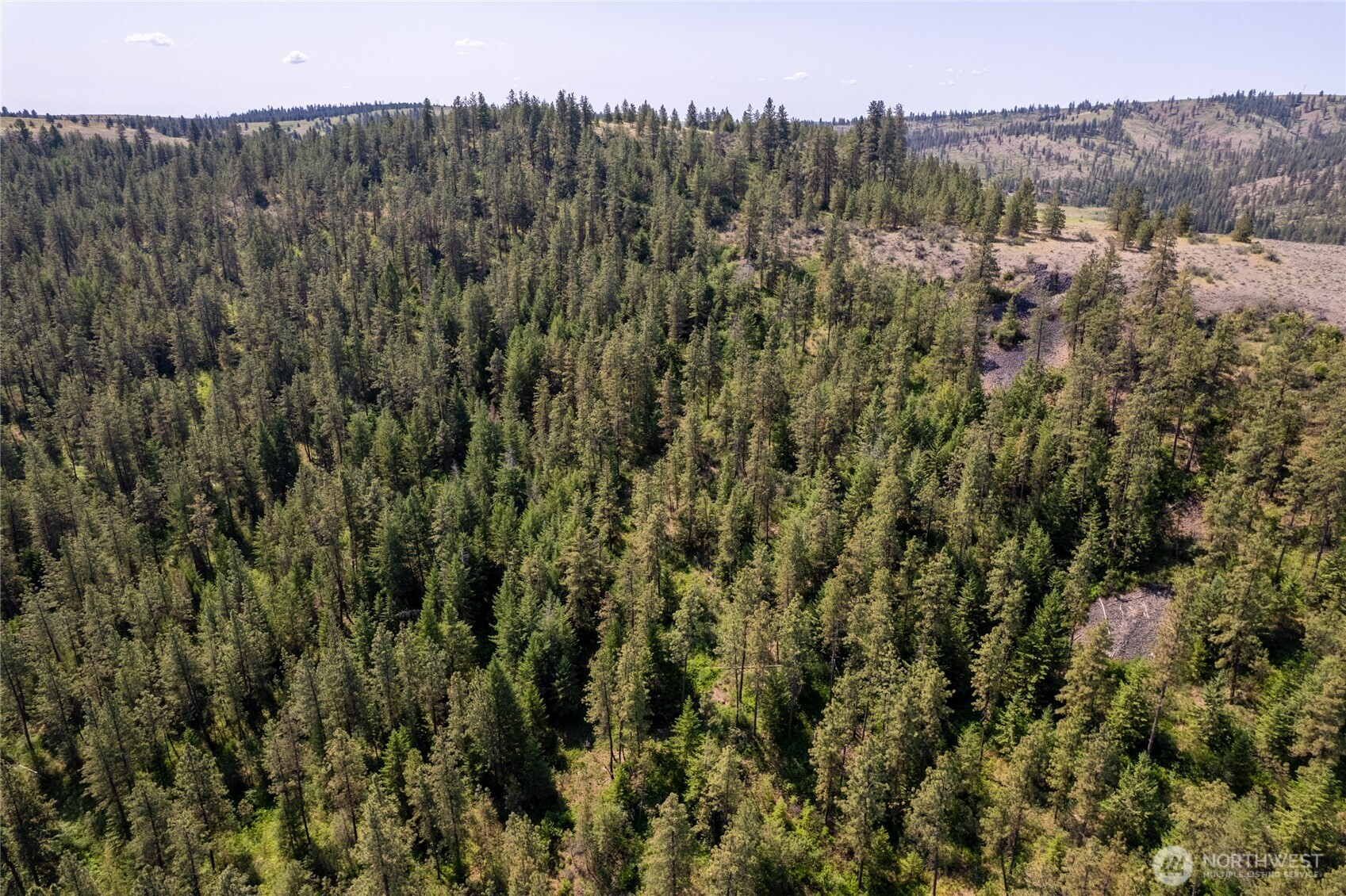 0 Peter Dan Creek Rd, Coulee Dam, WA 99116