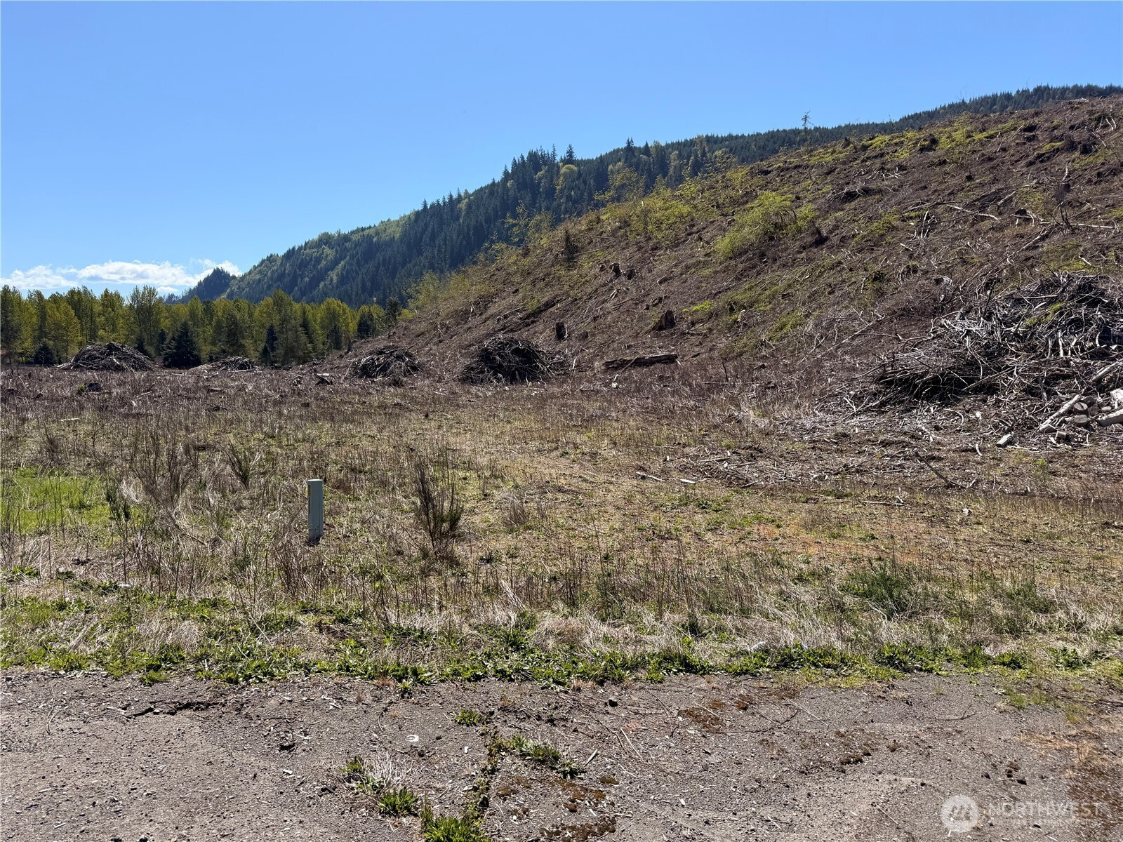 3 US Highway 12, Glenoma, WA 98336