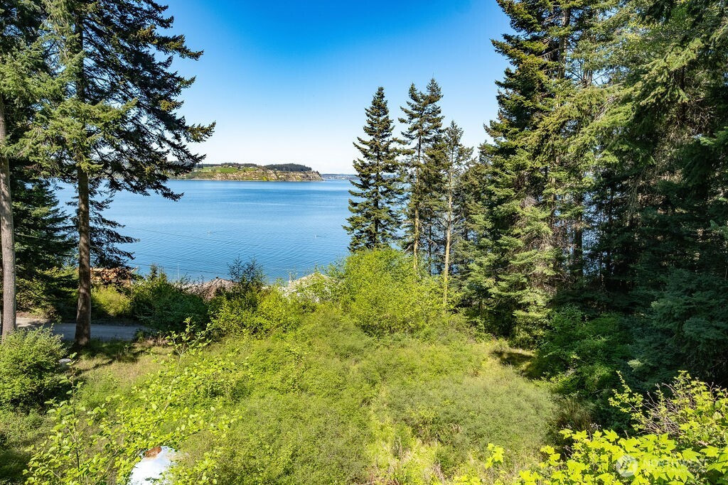 1111 NE Moore Place, Coupeville, WA 98239