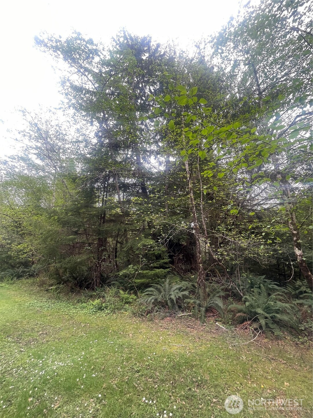 0 Lot 42 Bay Lane, South Bend, WA 98586