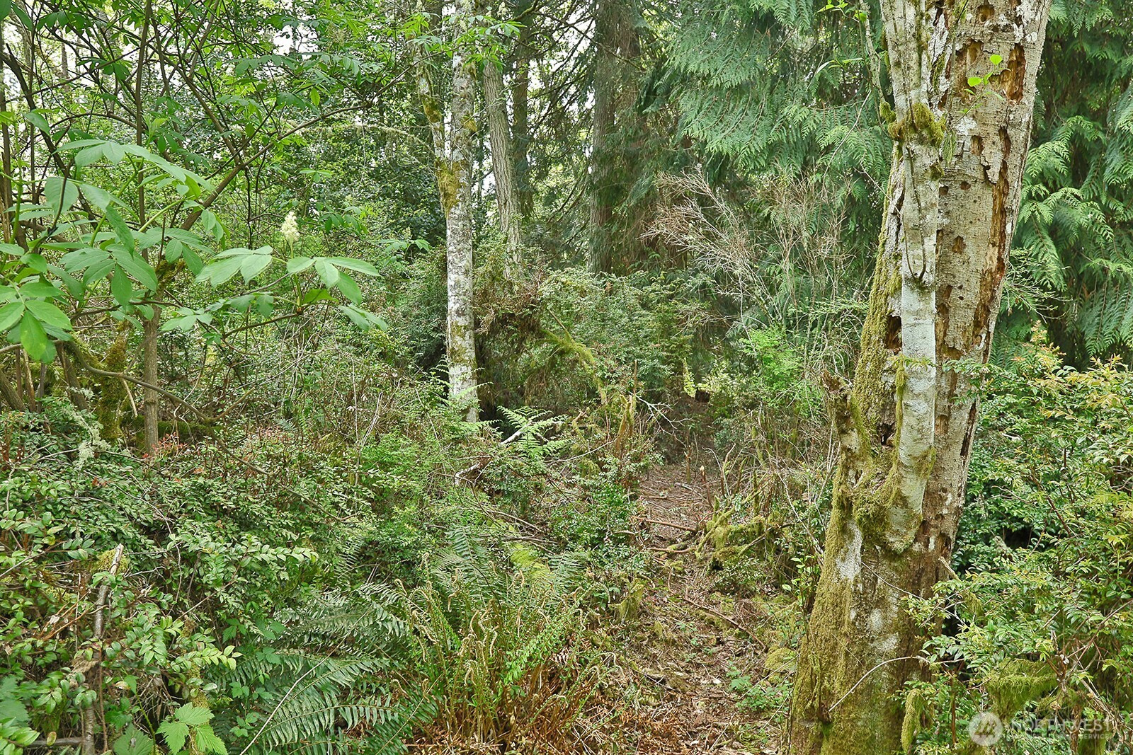 0 XXX Goss Lake Road, Langley, WA 98260
