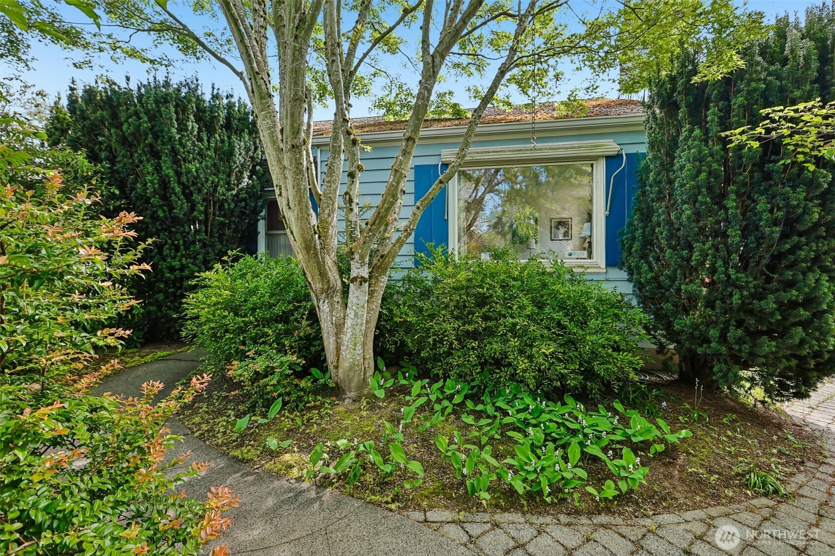 6830 27th Avenue NE, Seattle, WA 98115