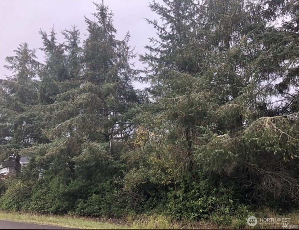 649 Weatherwax Loop NE, Ocean Shores, WA 98569
