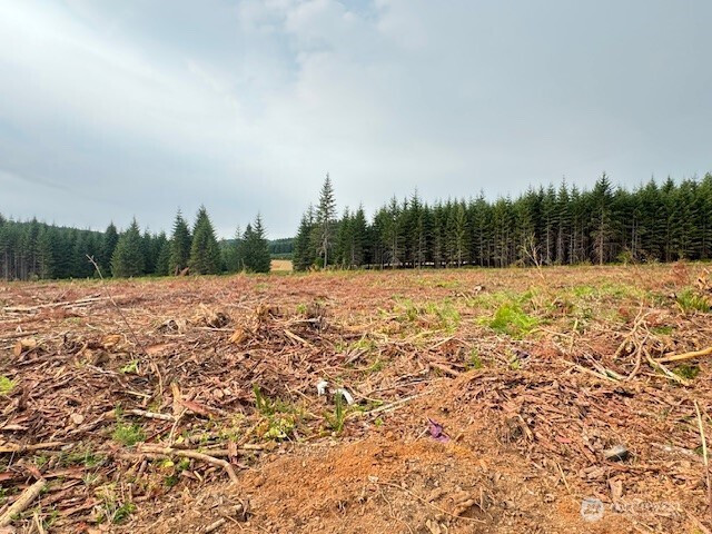 119 Woodberry Lane, Winlock, WA 98596