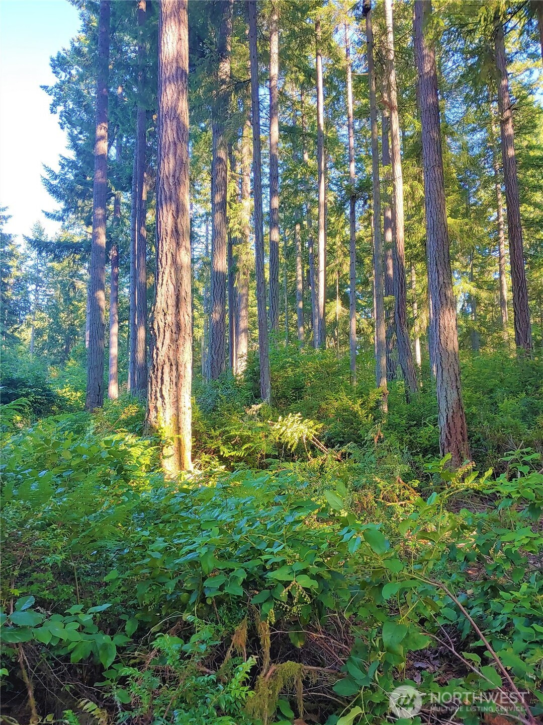 11302 106th Street, Anderson Island, WA 98303
