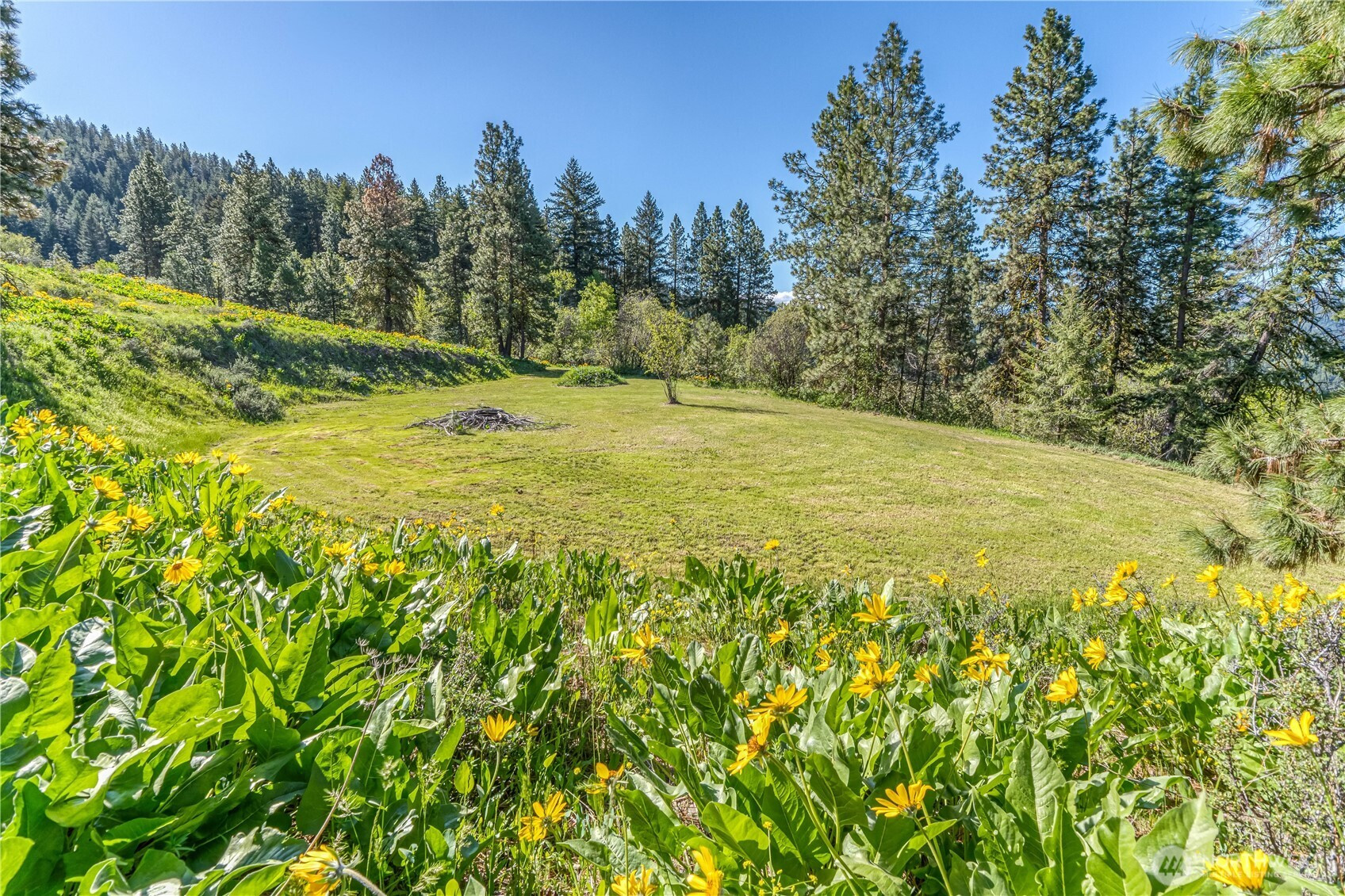 0 Sky Meadows Road, Cashmere, WA 98815