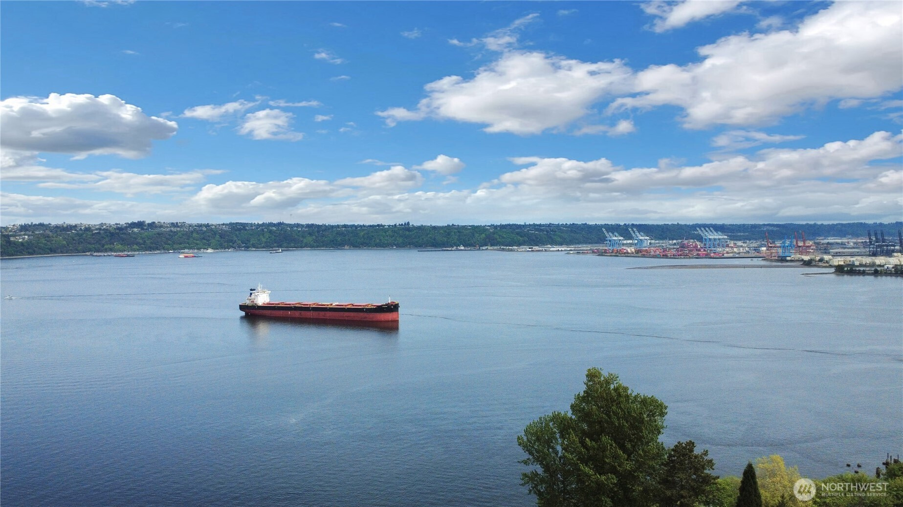 523 N C Street, Tacoma, WA 98403