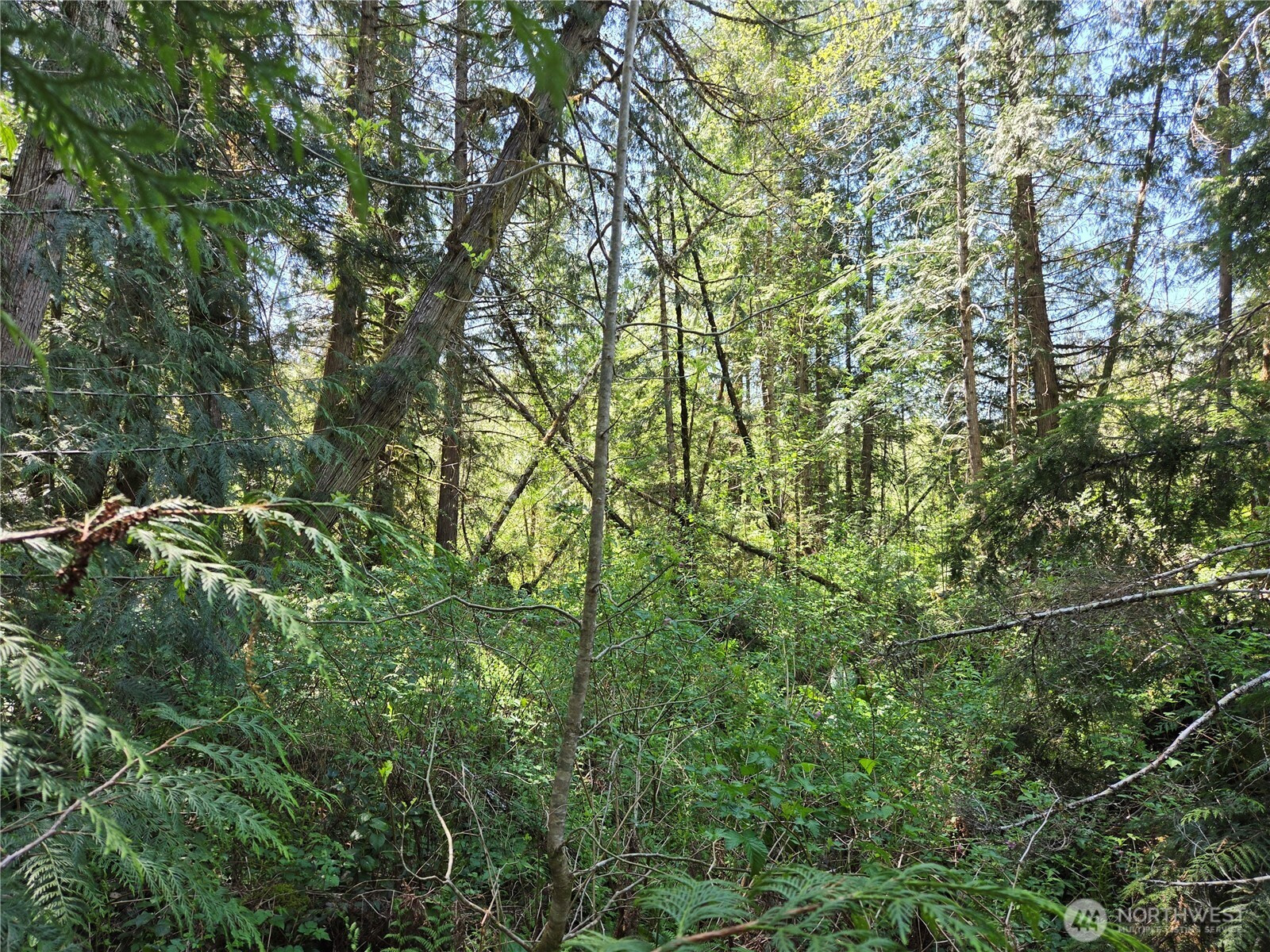 0 Falls Road, Randle, WA 98377