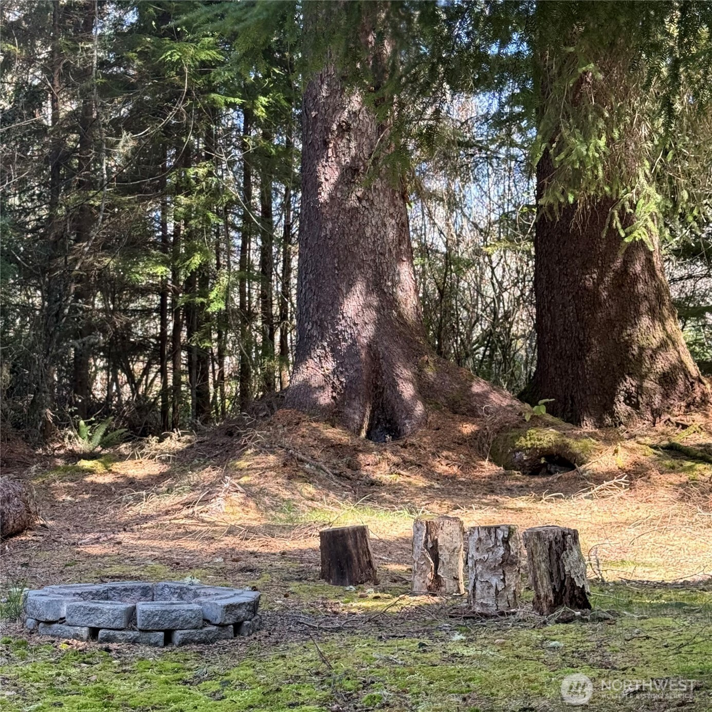 15500 Birch Street, Long Beach, WA 98631