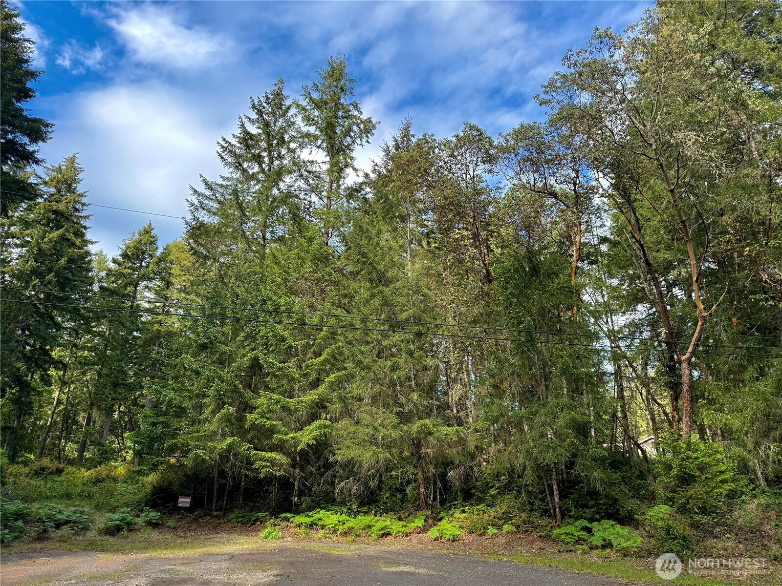 12027 Country Club Drive, Anderson Island, WA 98303
