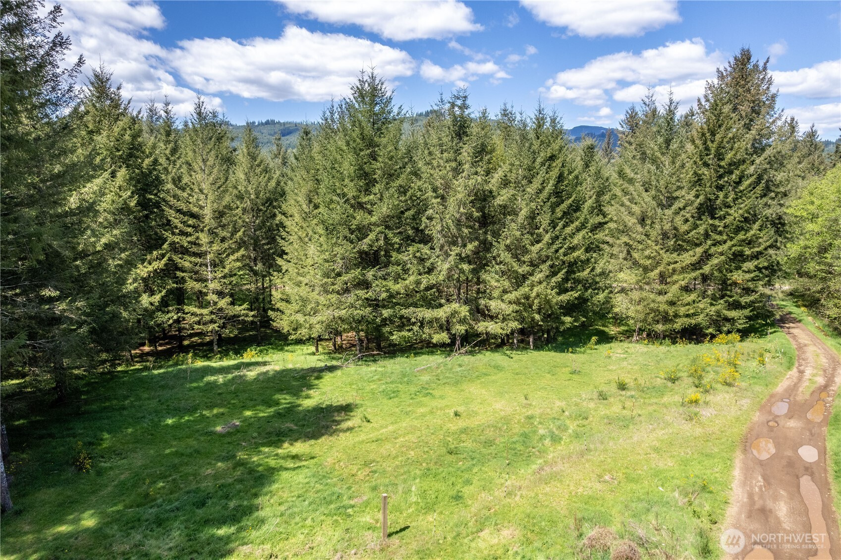 171 Sugarpine Road, Ariel, WA 98603