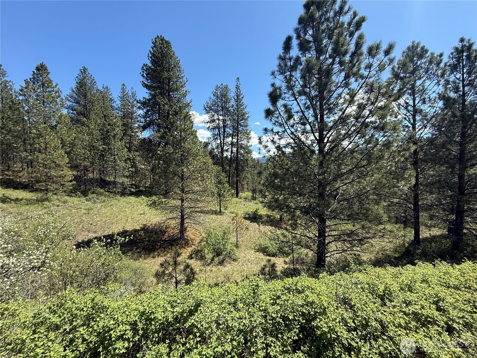 0 TBD Fir Lane, Curlew, WA 99118