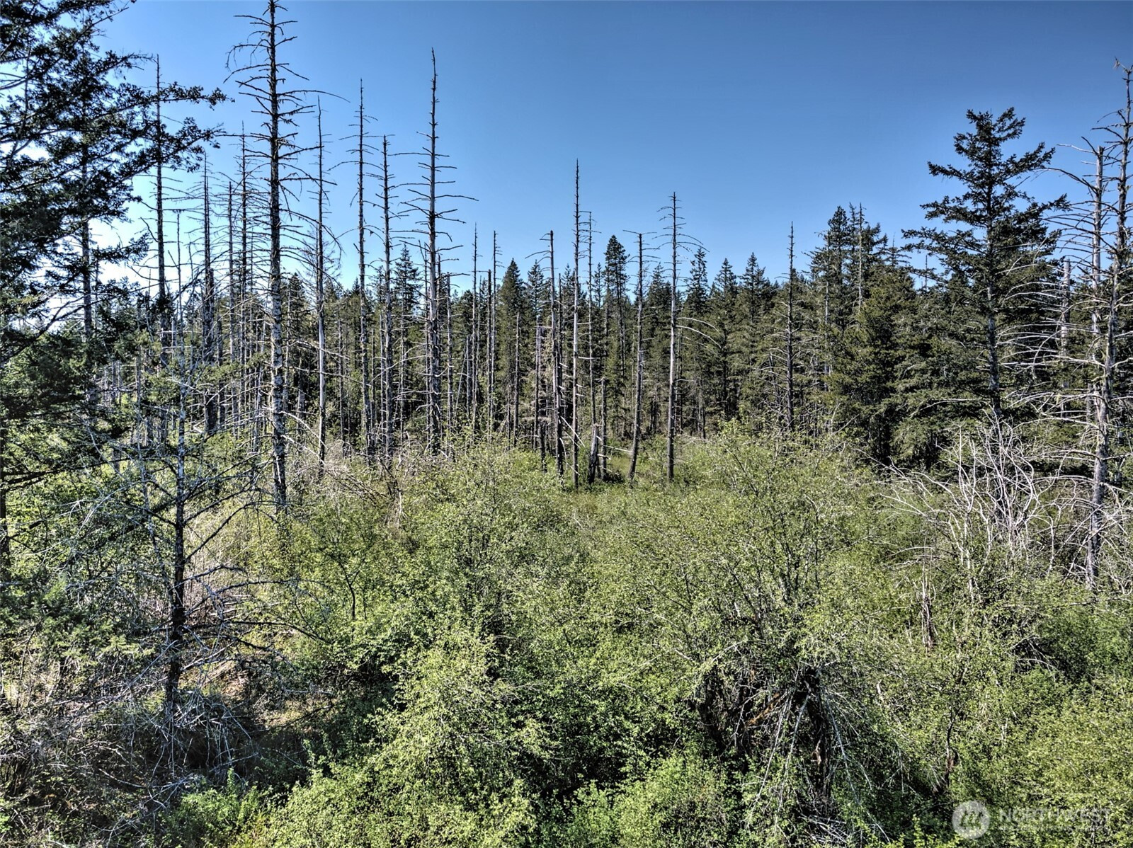 1161 NE Toonerville Drive, Belfair, WA 98528