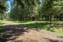 191 Sugarpine Road, Ariel, WA 98603