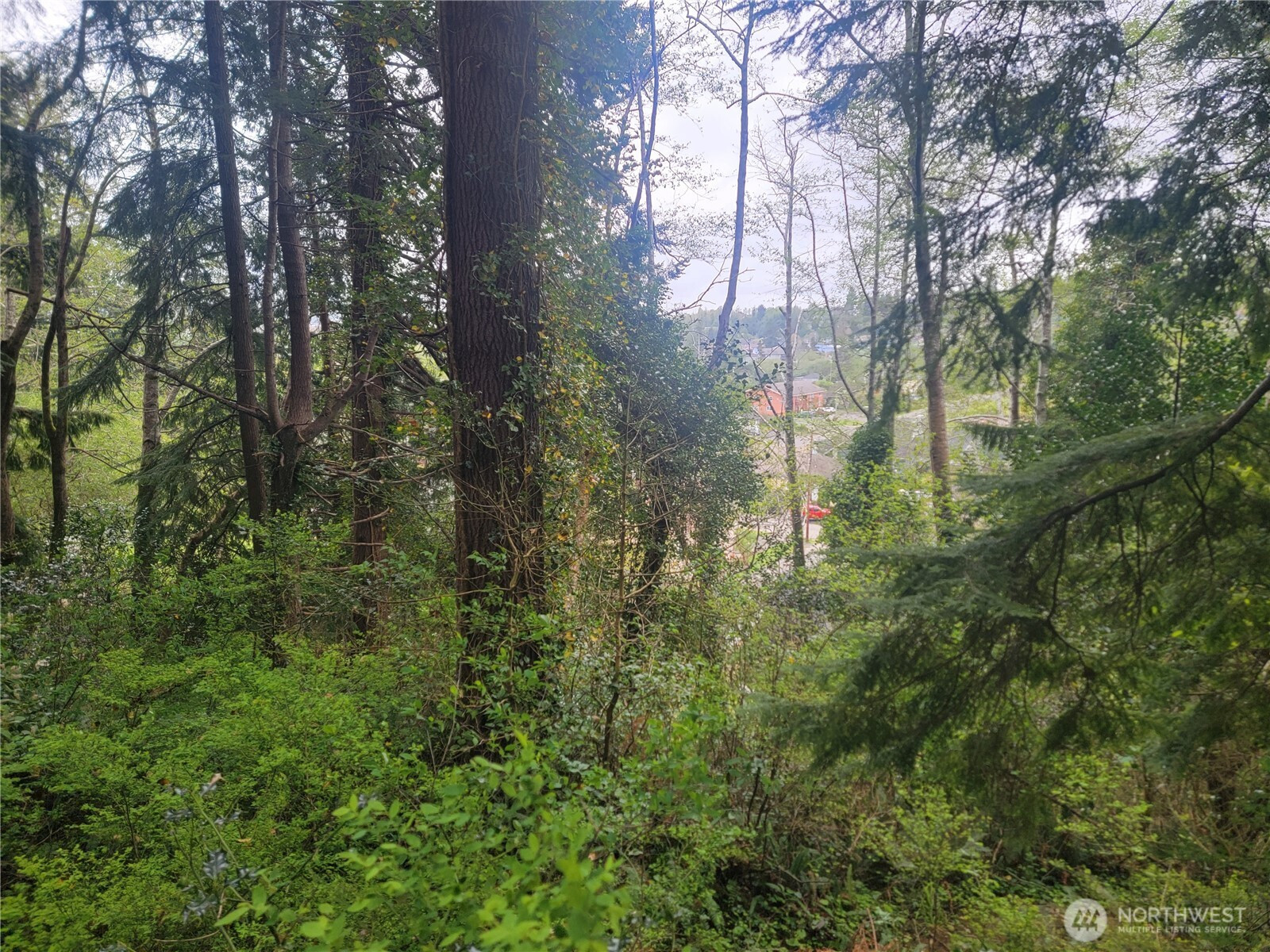 1600 Laura Street, Aberdeen, WA 98520