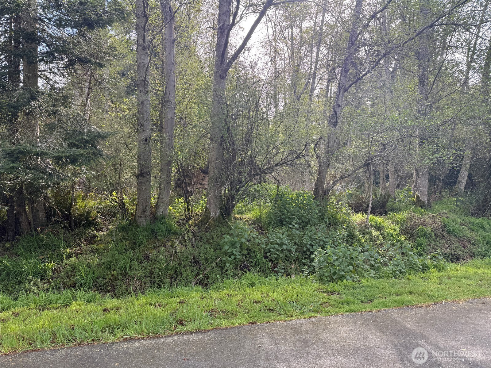 0 XXX Seacrest Lane, Coupeville, WA 98239