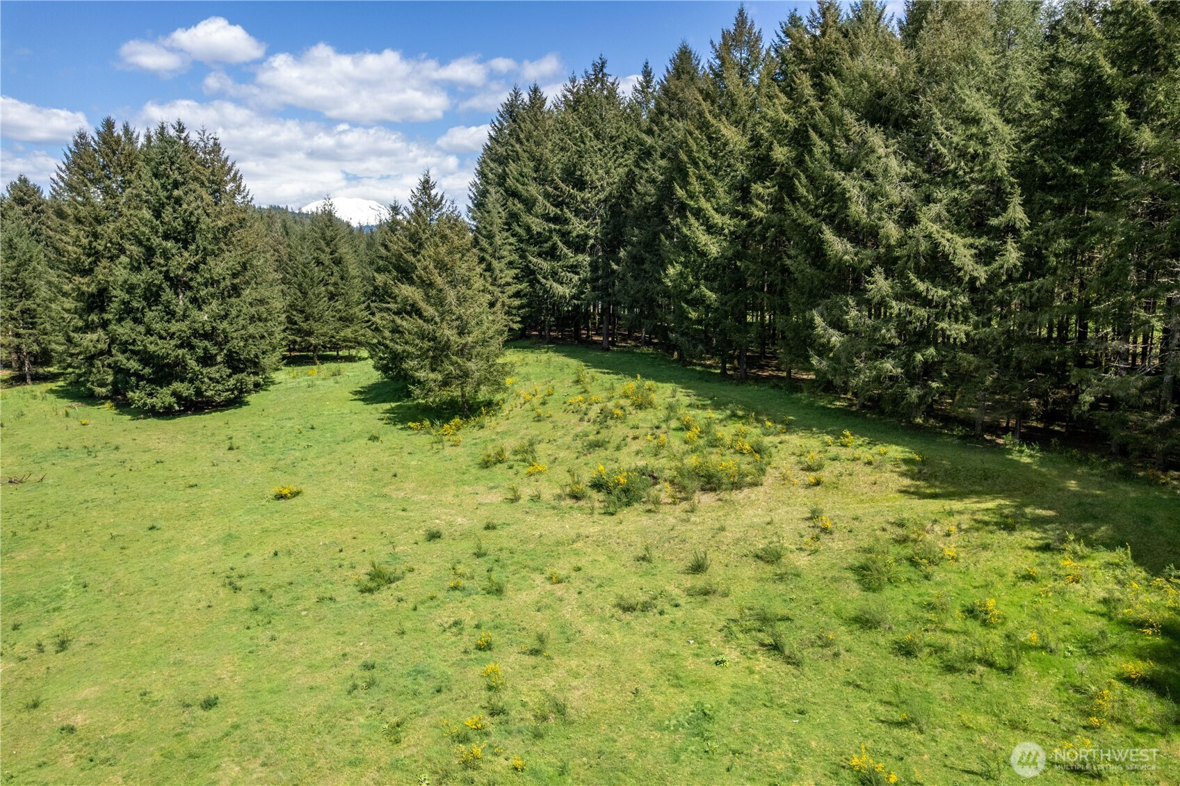 211 Sugarpine Road, Ariel, WA 98603