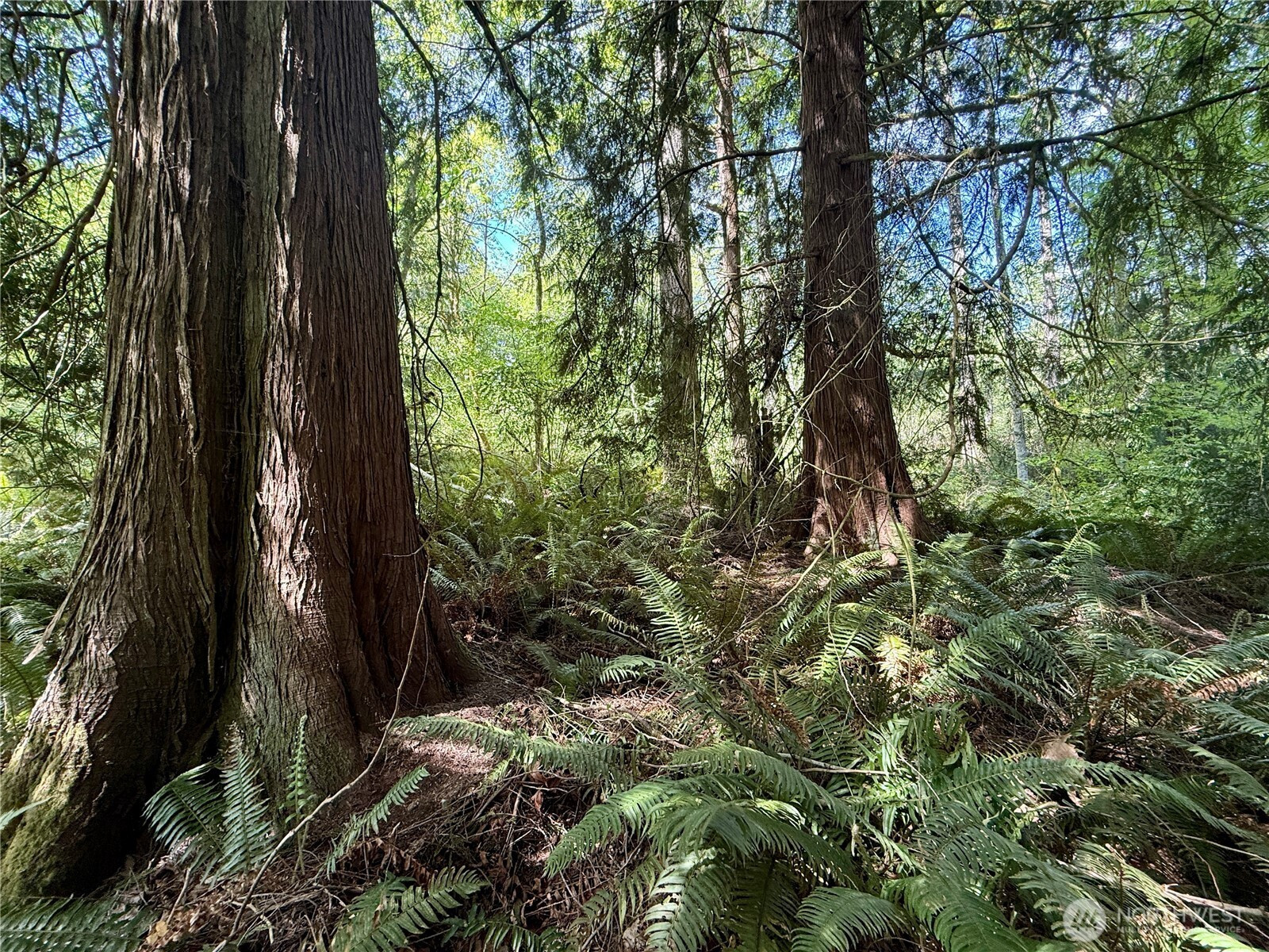 5162 Phillips Road SE, Port Orchard, WA 98367