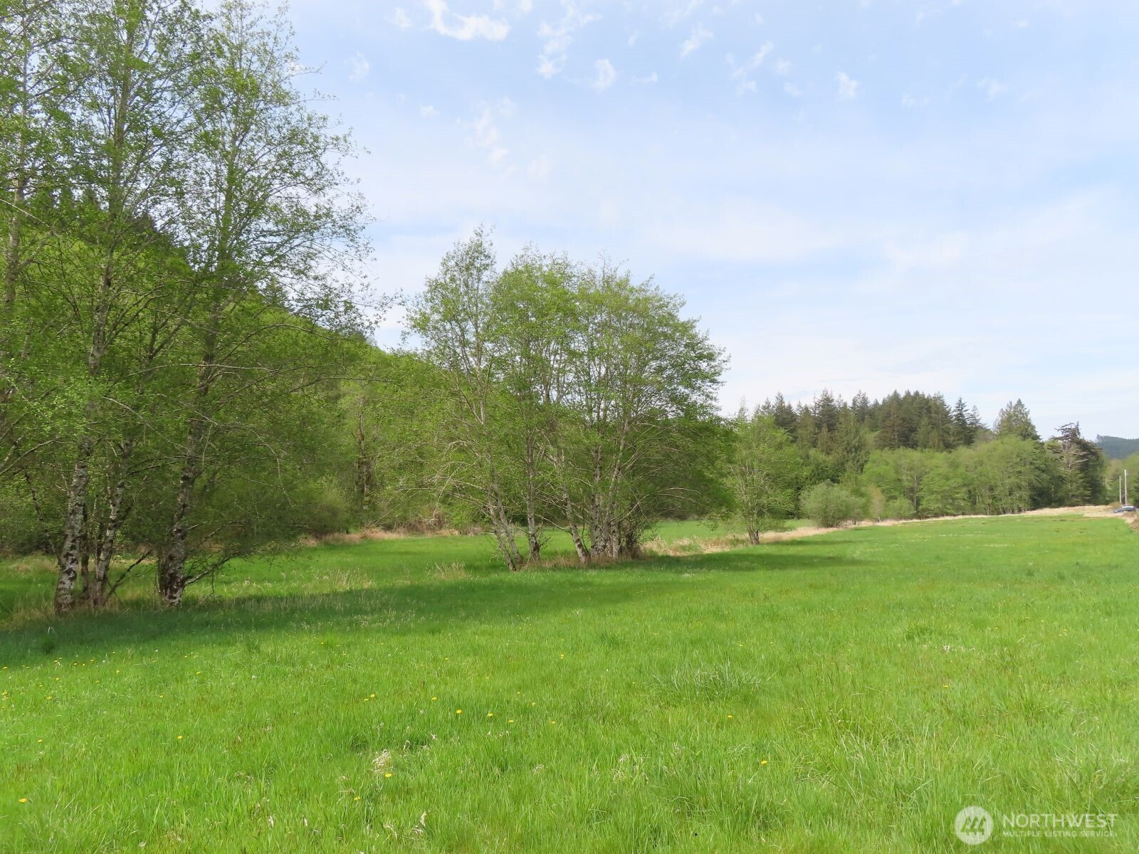 0 XXX Hagen Road, Mossyrock, WA 98645