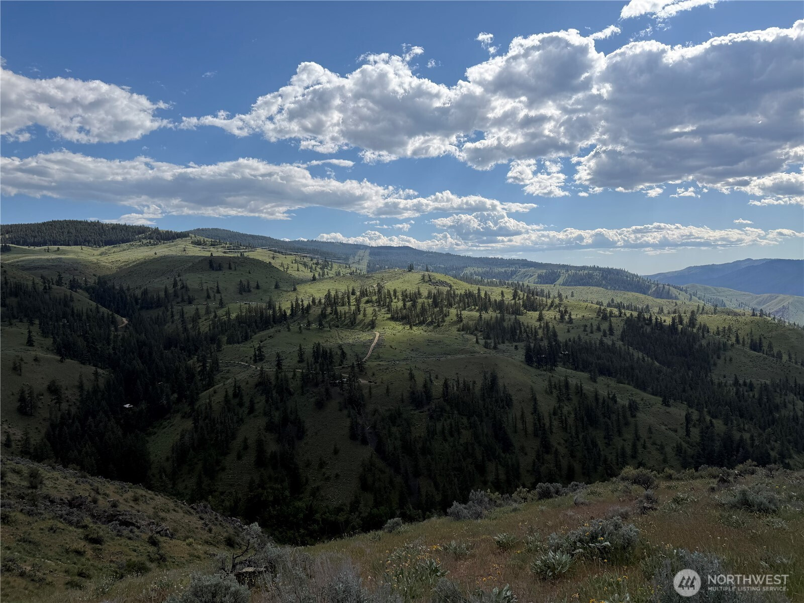 0 Tyee View Loop, Waterville, WA 98858