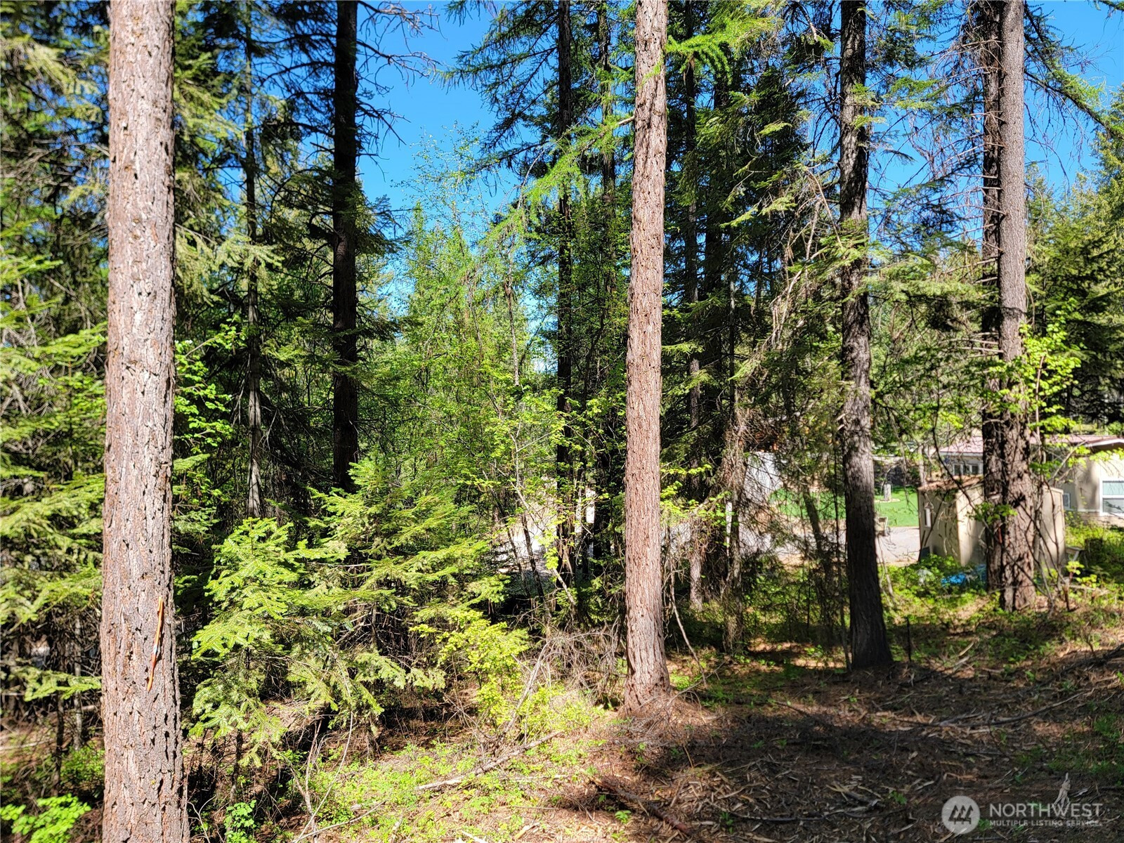 263 Twin Lakes Road, Inchelium, WA 99138