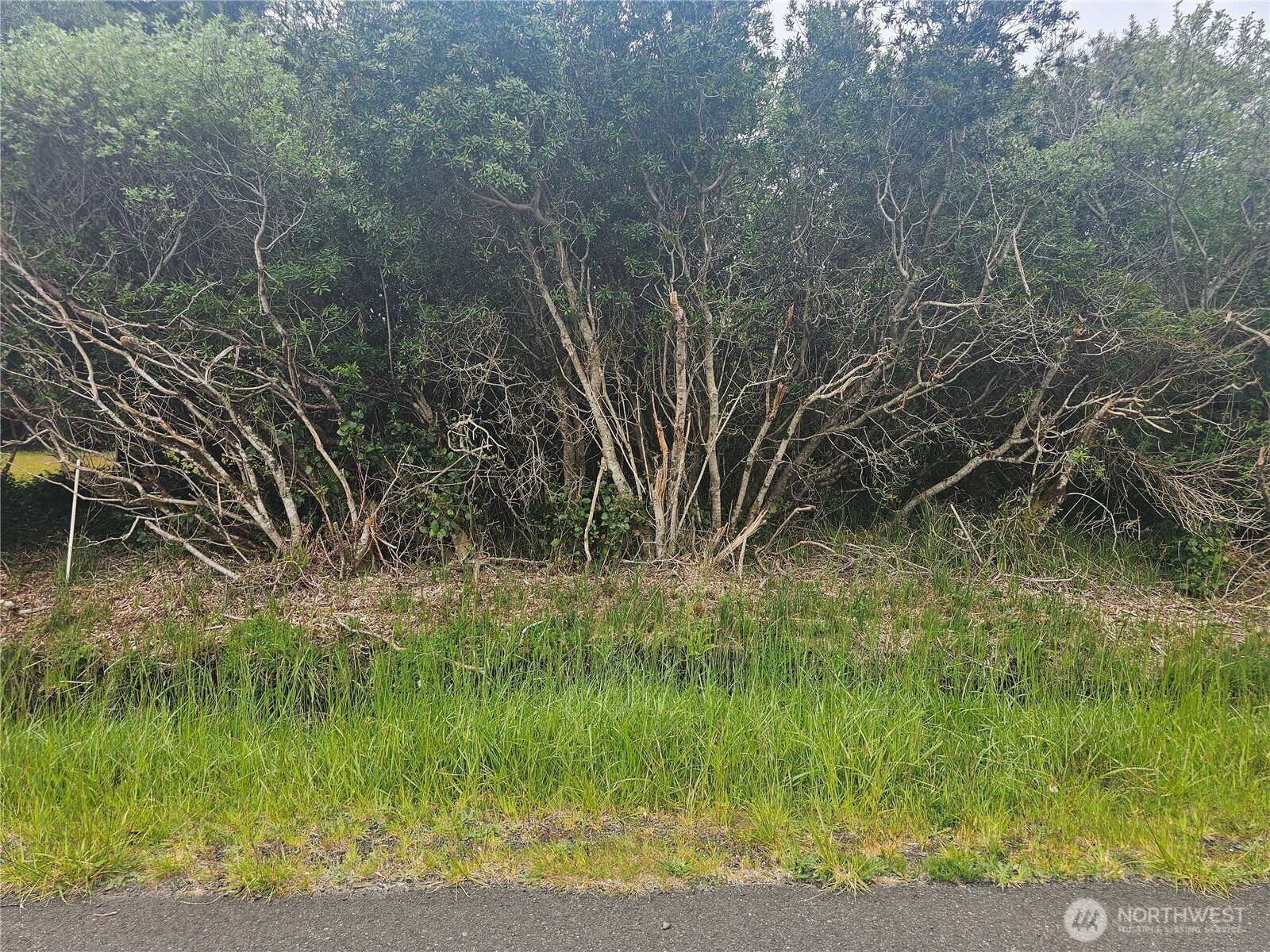 1051 Fariwood Drive SW, Ocean Shores, WA 98569