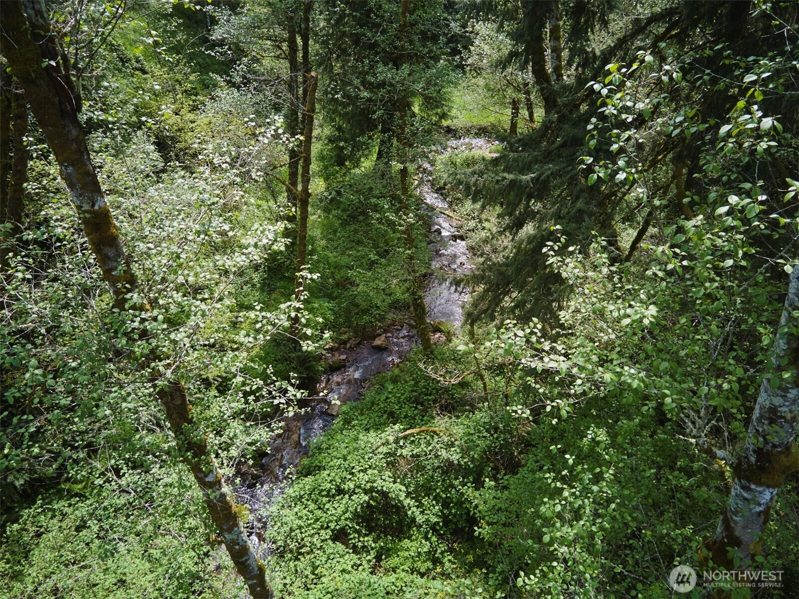 140 Skinner Road, Woodland, WA 98674