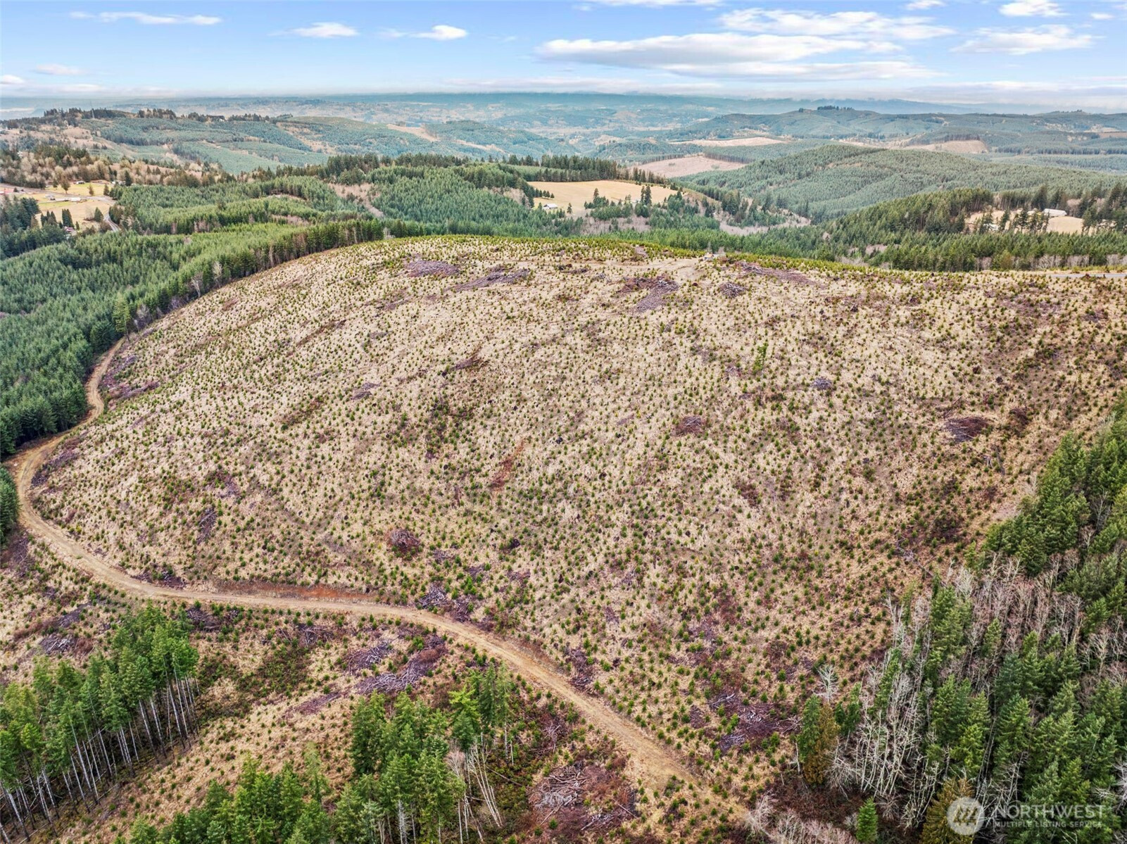 0 Lot 4 Hamilton Heights Road, Kelso, WA 98626