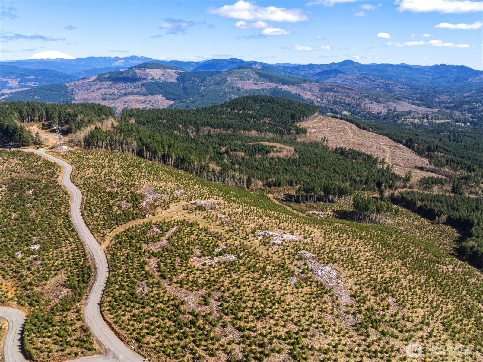 0 Lot 2 Mt Brynion Road, Kelso, WA 98626