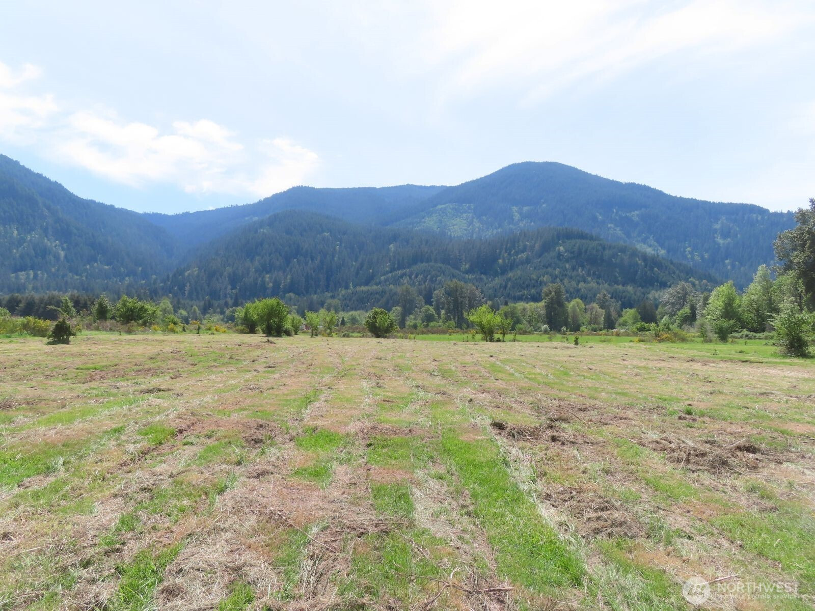 295 River Ranch Road, Randle, WA 98377