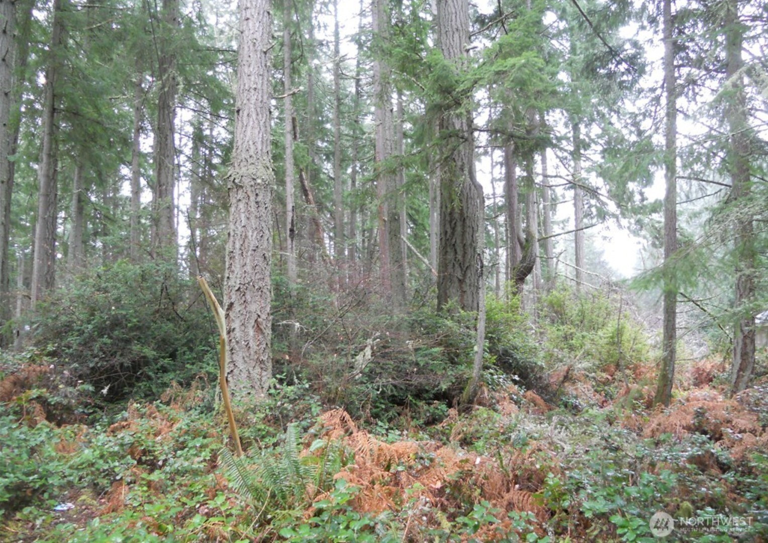 10315 107th Avenue Ct, Anderson Island, WA 98303