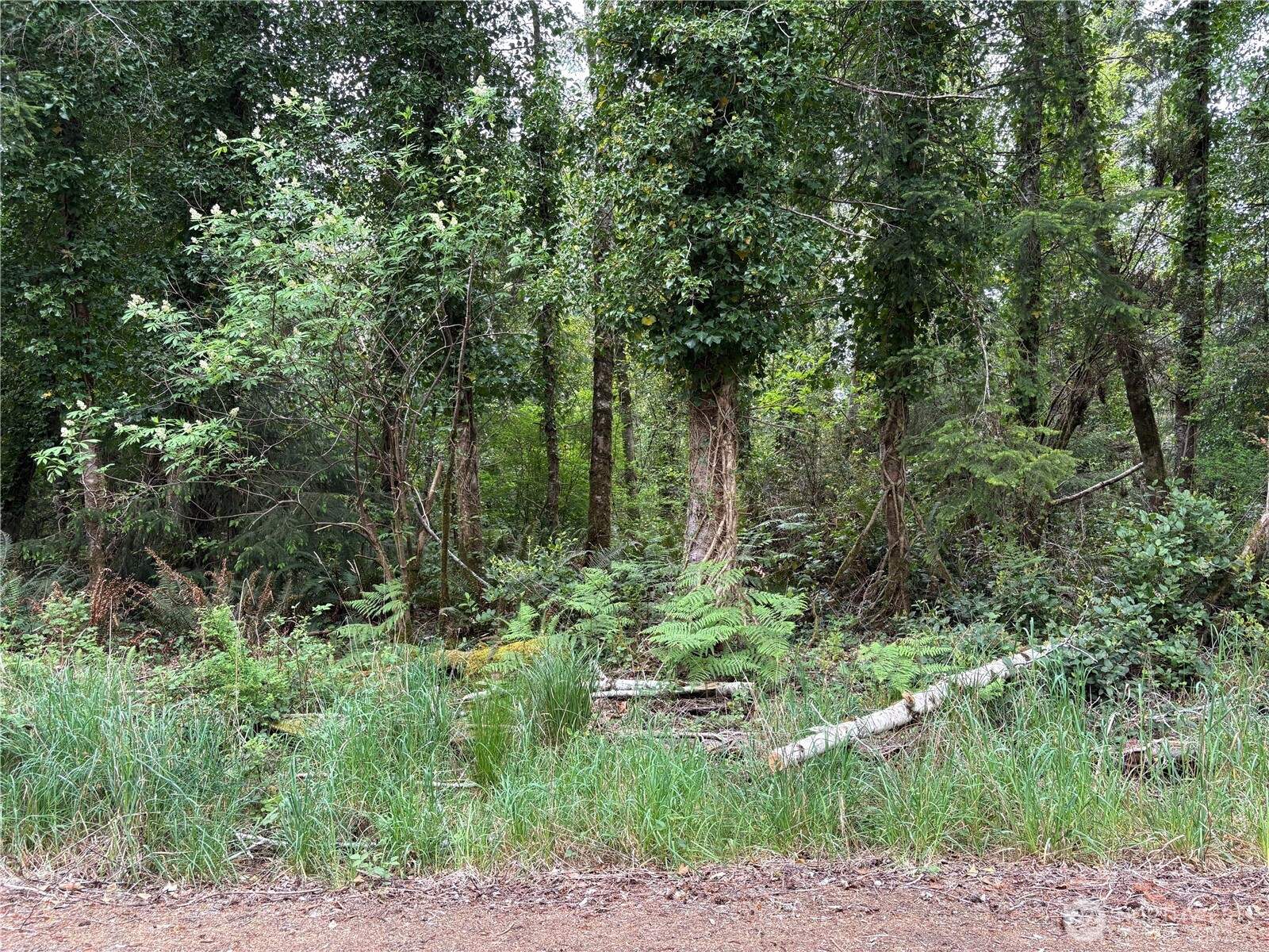 285 XX Z Street, Ocean Park, WA 98640